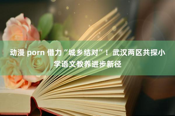 动漫 porn 借力“城乡结对”！武汉两区共探小学语文教养进步新径