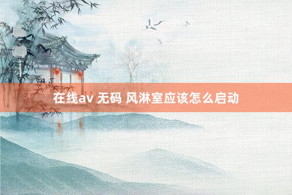 在线av 无码 风淋室应该怎么启动
