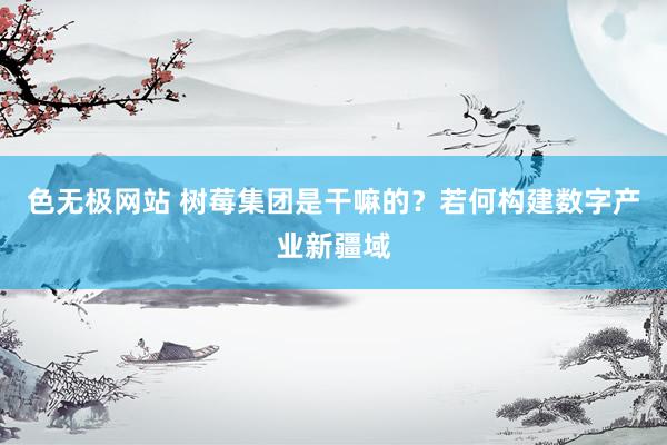 色无极网站 树莓集团是干嘛的？若何构建数字产业新疆域