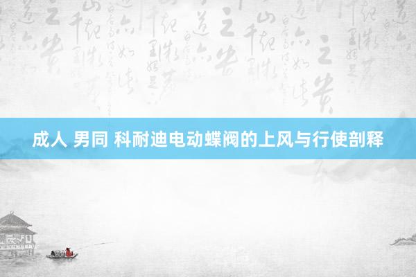 成人 男同 科耐迪电动蝶阀的上风与行使剖释