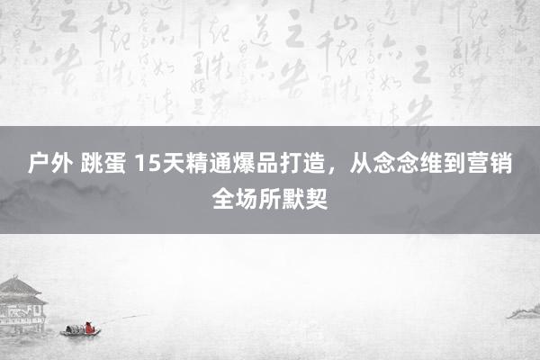 户外 跳蛋 15天精通爆品打造，从念念维到营销全场所默契