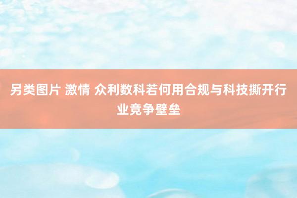 另类图片 激情 众利数科若何用合规与科技撕开行业竞争壁垒