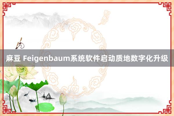 麻豆 Feigenbaum系统软件启动质地数字化升级