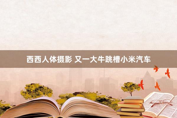西西人体摄影 又一大牛跳槽小米汽车
