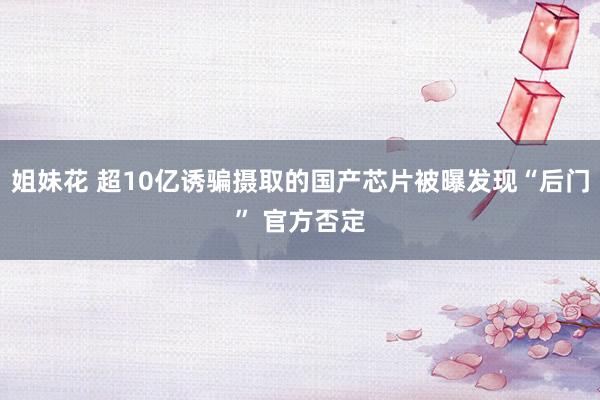姐妹花 超10亿诱骗摄取的国产芯片被曝发现“后门” 官方否定
