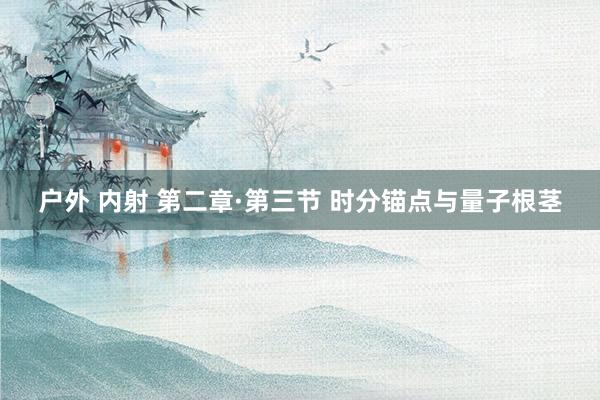 户外 内射 第二章·第三节 时分锚点与量子根茎