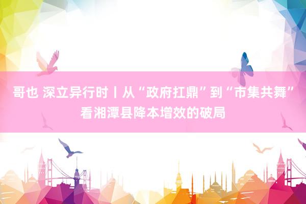 哥也 深立异行时丨从“政府扛鼎”到“市集共舞”看湘潭县降本增效的破局