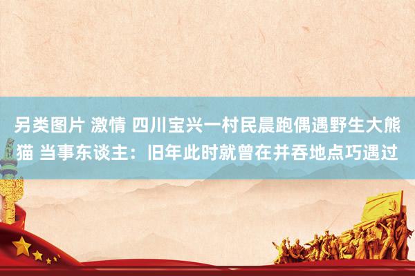 另类图片 激情 四川宝兴一村民晨跑偶遇野生大熊猫 当事东谈主：旧年此时就曾在并吞地点巧遇过