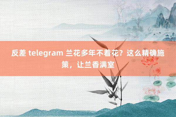 反差 telegram 兰花多年不着花？这么精确施策，让兰香满室