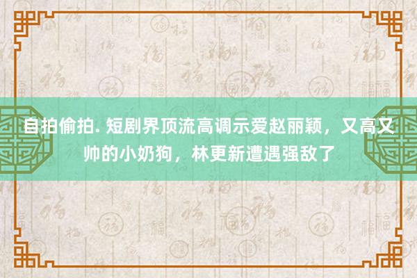 自拍偷拍. 短剧界顶流高调示爱赵丽颖，又高又帅的小奶狗，林更新遭遇强敌了